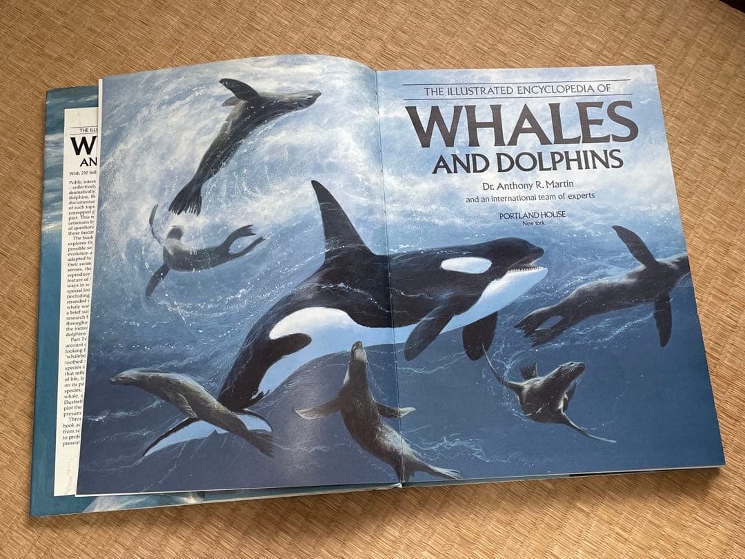 洋書　貴重！クジラとイルカに関する図鑑　アンソニー・R・マーティン博士