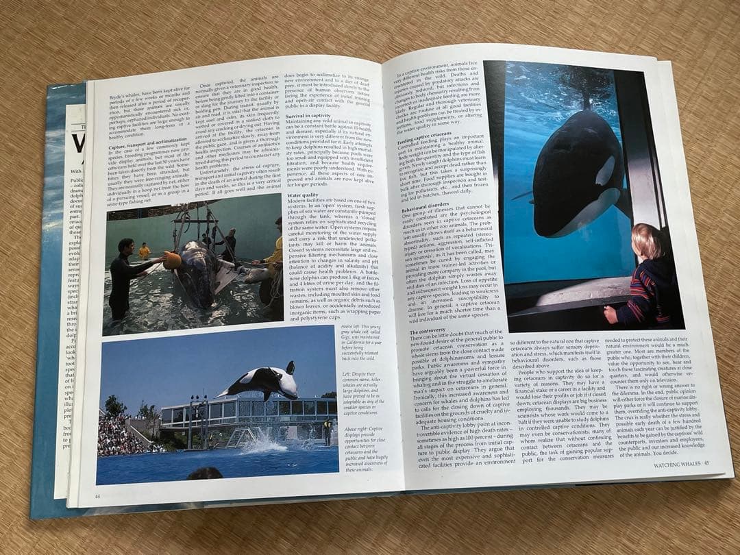 洋書　貴重！クジラとイルカに関する図鑑　アンソニー・R・マーティン博士