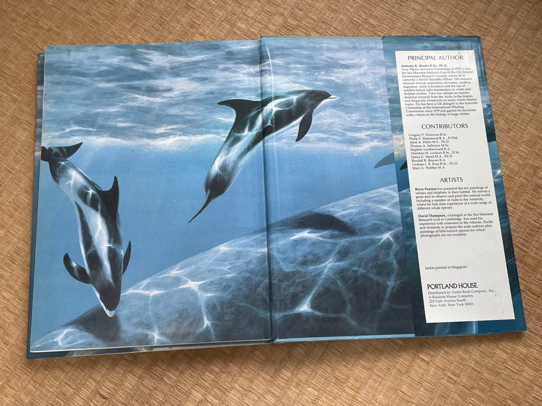 洋書　貴重！クジラとイルカに関する図鑑　アンソニー・R・マーティン博士