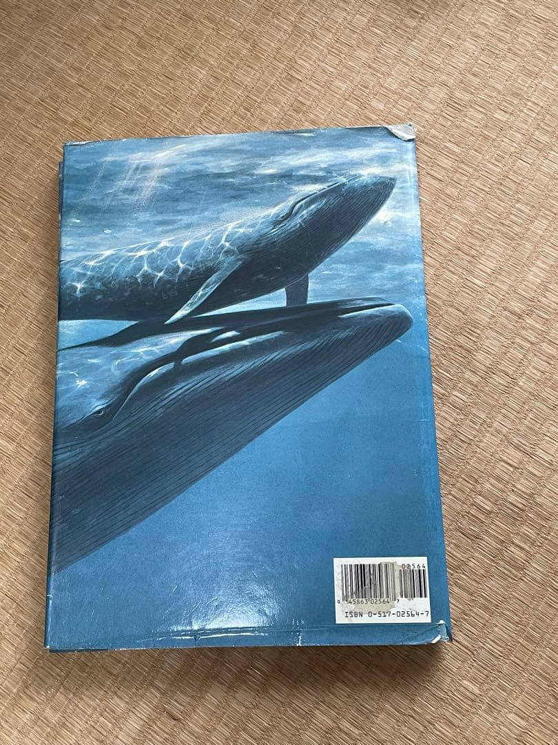 洋書　貴重！クジラとイルカに関する図鑑　アンソニー・R・マーティン博士