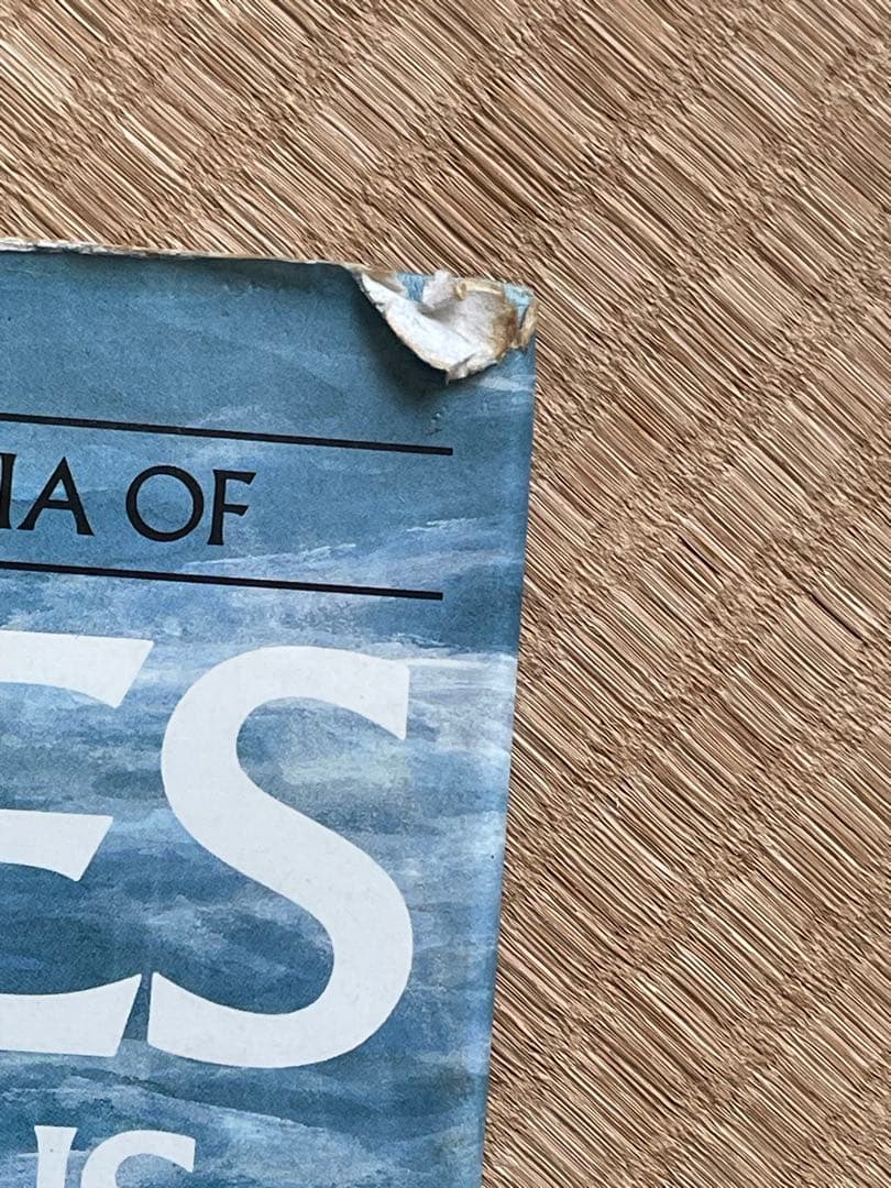 洋書　貴重！クジラとイルカに関する図鑑　アンソニー・R・マーティン博士