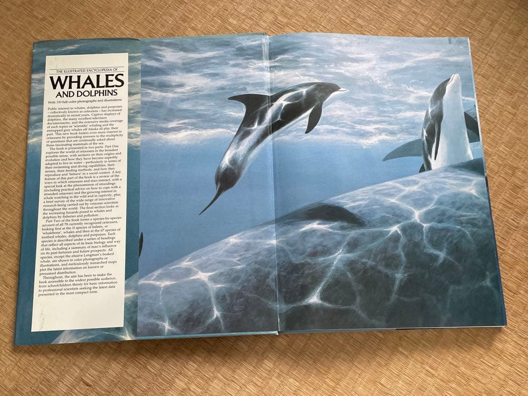 洋書　貴重！クジラとイルカに関する図鑑　アンソニー・R・マーティン博士