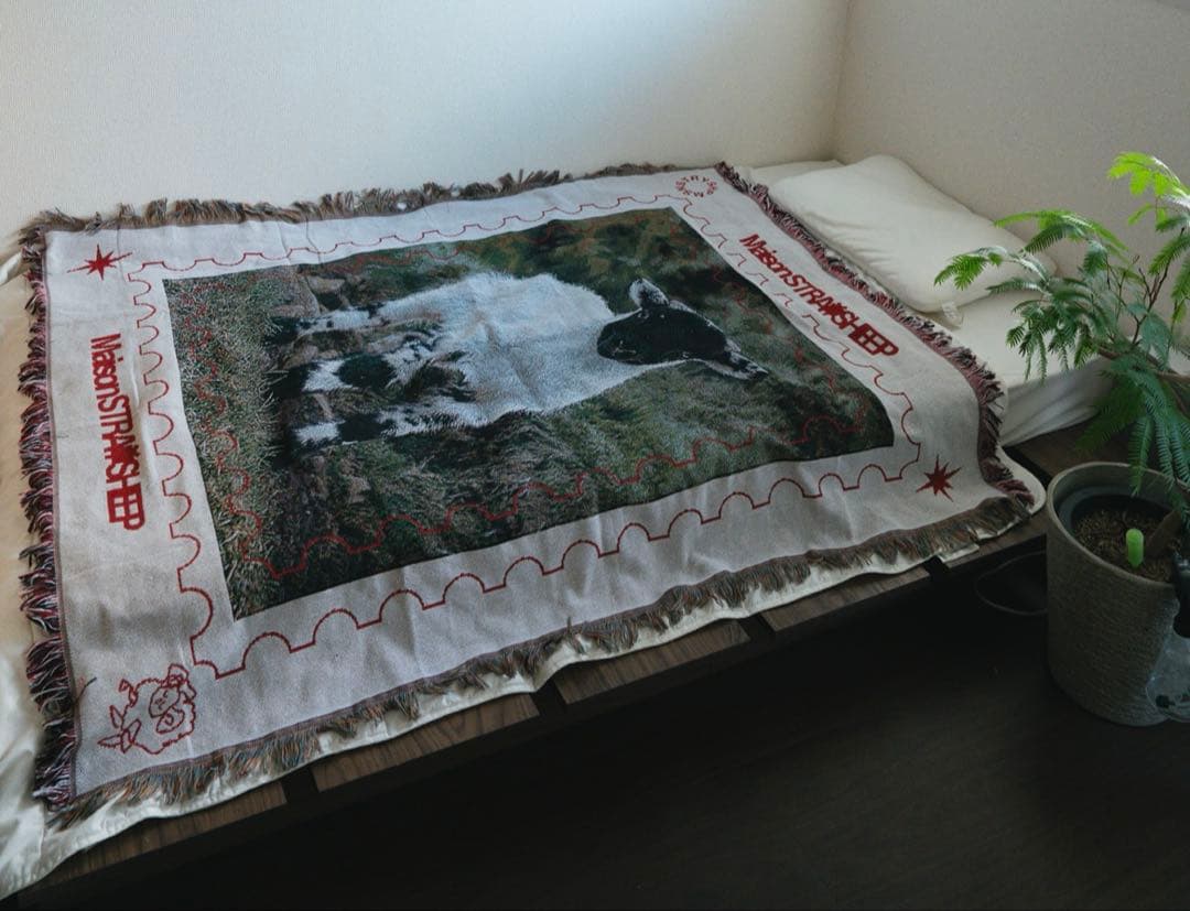 ベッド ローベッド ベッドフレーム すのこベッド　シングルS ウォルナット