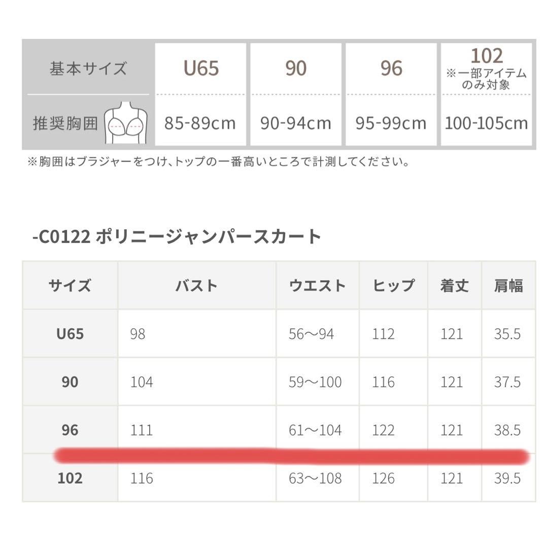 ポリニージャンパースカート　overE