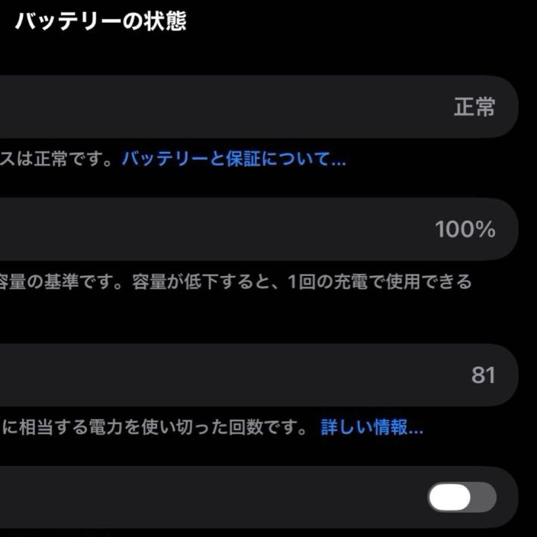 iPad mini A17 Pro Pencil Pro 付 バッテリー100%