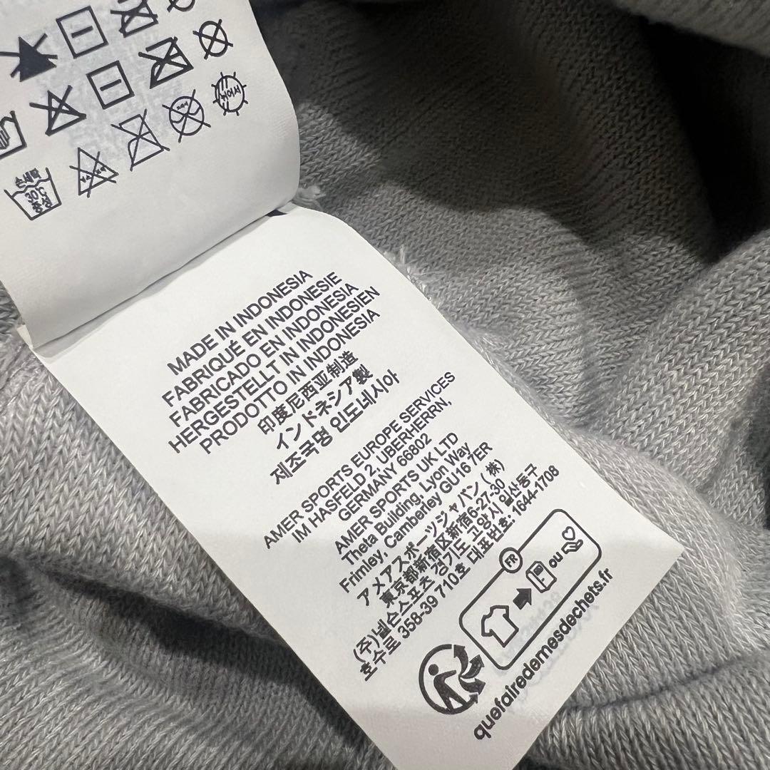 アークテリクス Bird Word Toque ビーニー ニット帽 グレー