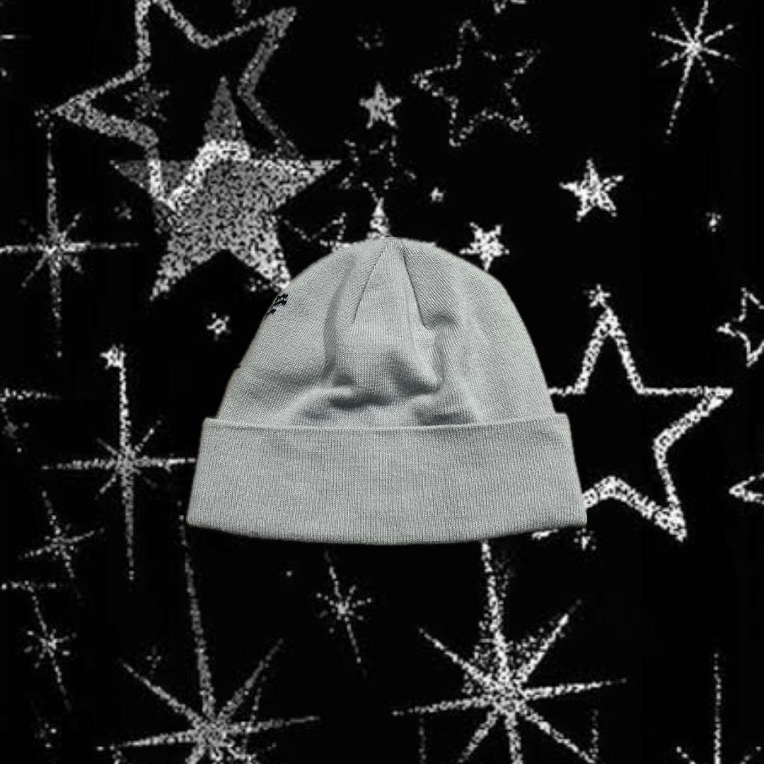 アークテリクス Bird Word Toque ビーニー ニット帽 グレー