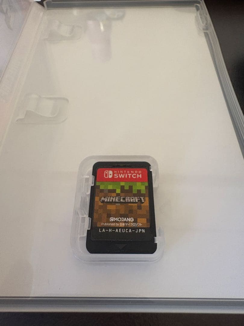 Switch light ブルー　マインクラフト　ソフト付き