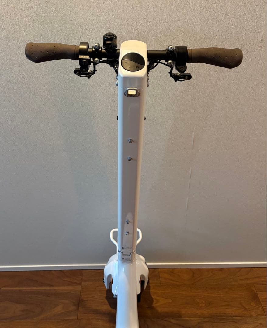 STRIEMO ストリーモ S01JT 電動 公道走行可 初回抽選モデル 3輪