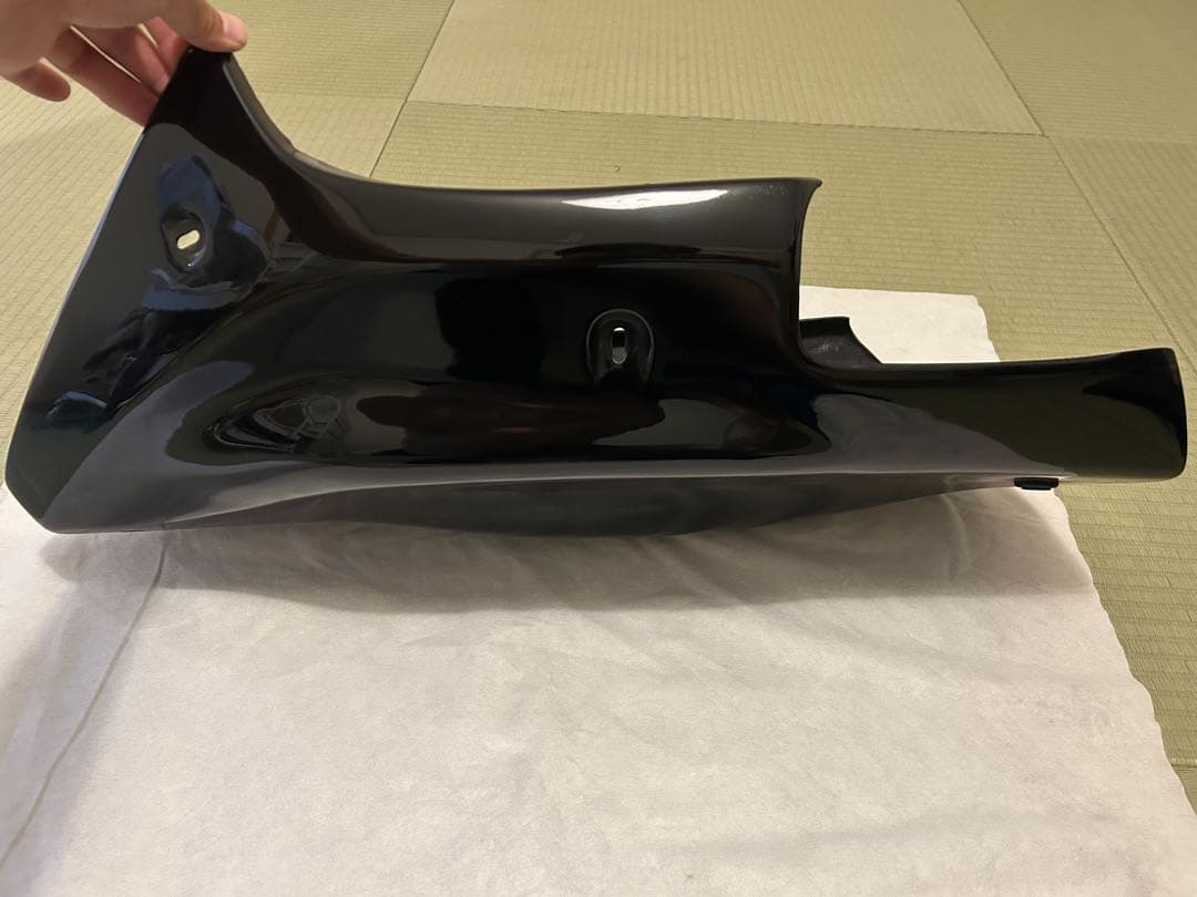 ZRX1200 ダエグ アンダーカウル