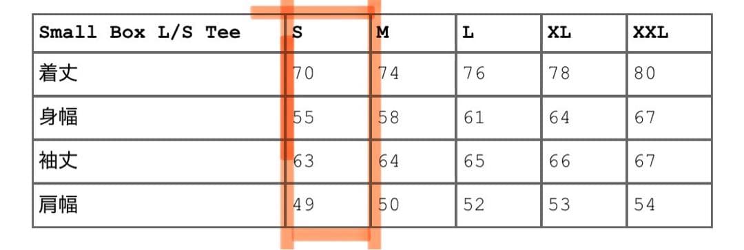 最安値！Supreme Small Box L/S Realtree Camo