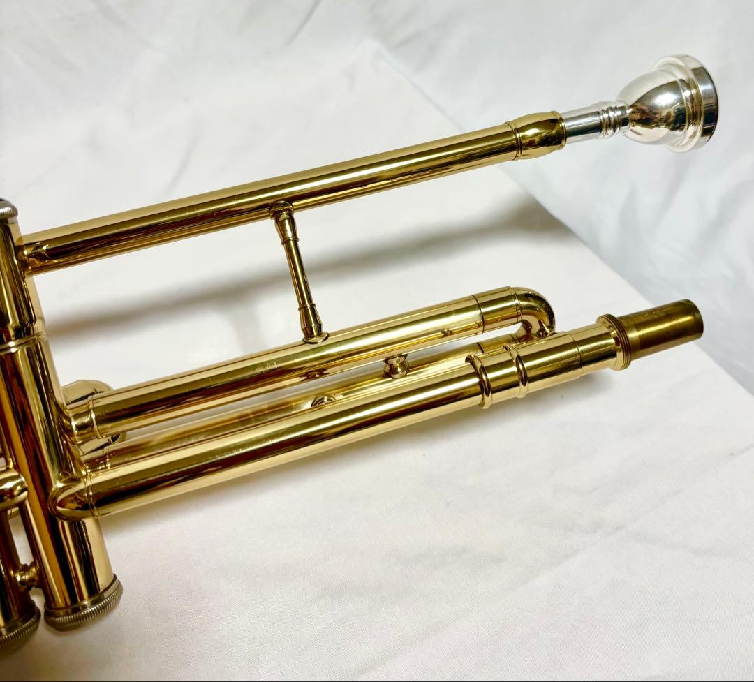 【音出し確認済】バルブトロンボーン/ピストントロンボーン