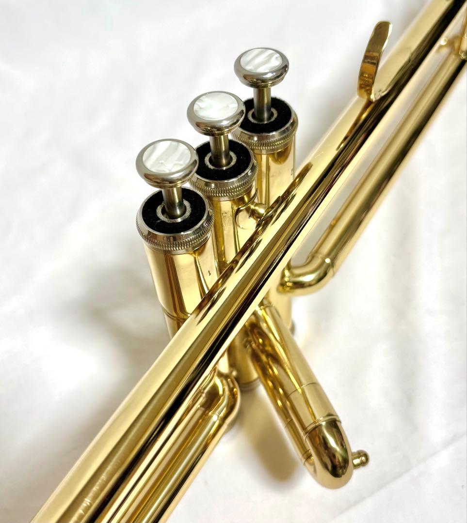 【音出し確認済】バルブトロンボーン/ピストントロンボーン