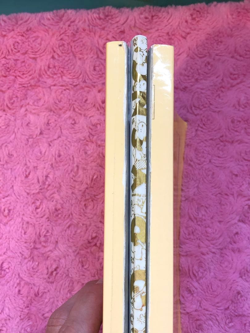 【新課程／分冊済】2024年度　鉄緑会　高3化学 入試化学確認シリーズ　オマケ付