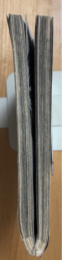 最終号【ビジネスジャンプ2011】11月2日 No.21•22合併号　集英社