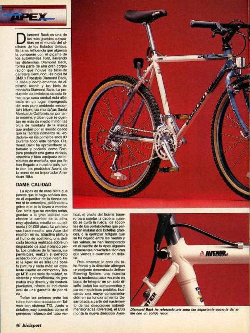 OLD MTB　DIAMOND BACK APEX 26インチ