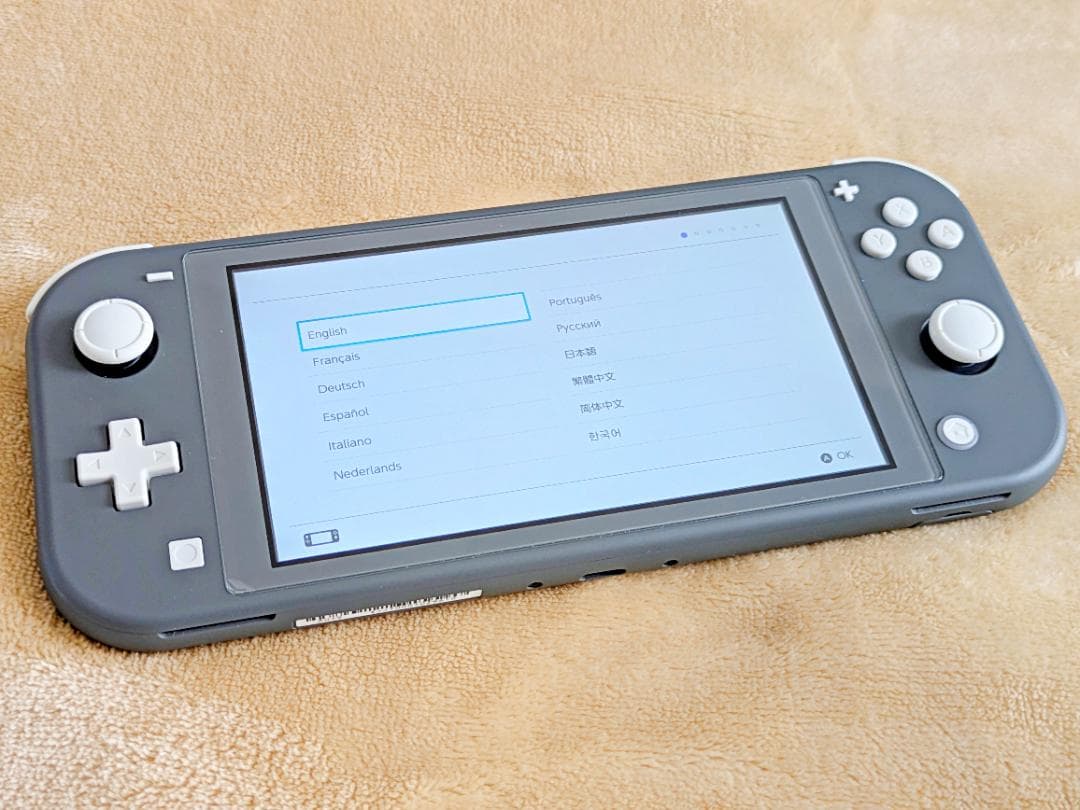 『Nintendo Switch Liteグレー』ケース+128GBメモリカード