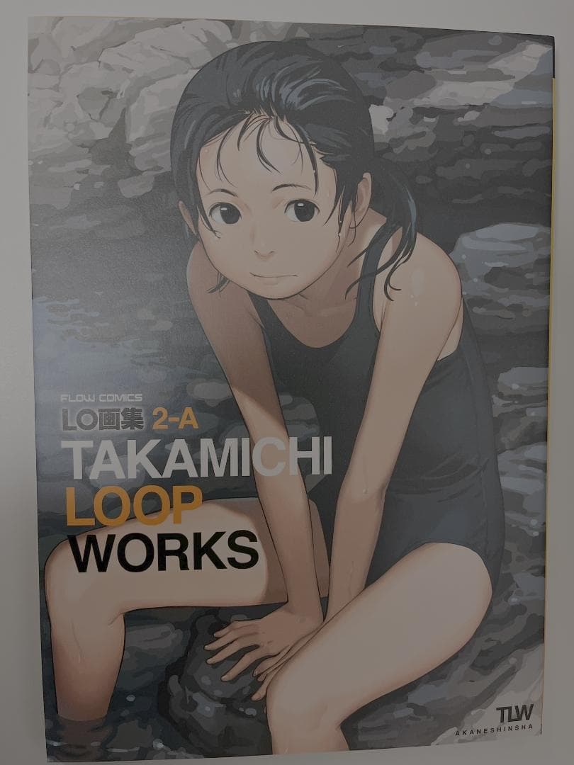 LO TAKAMICHI たかみち 画集 4冊セット