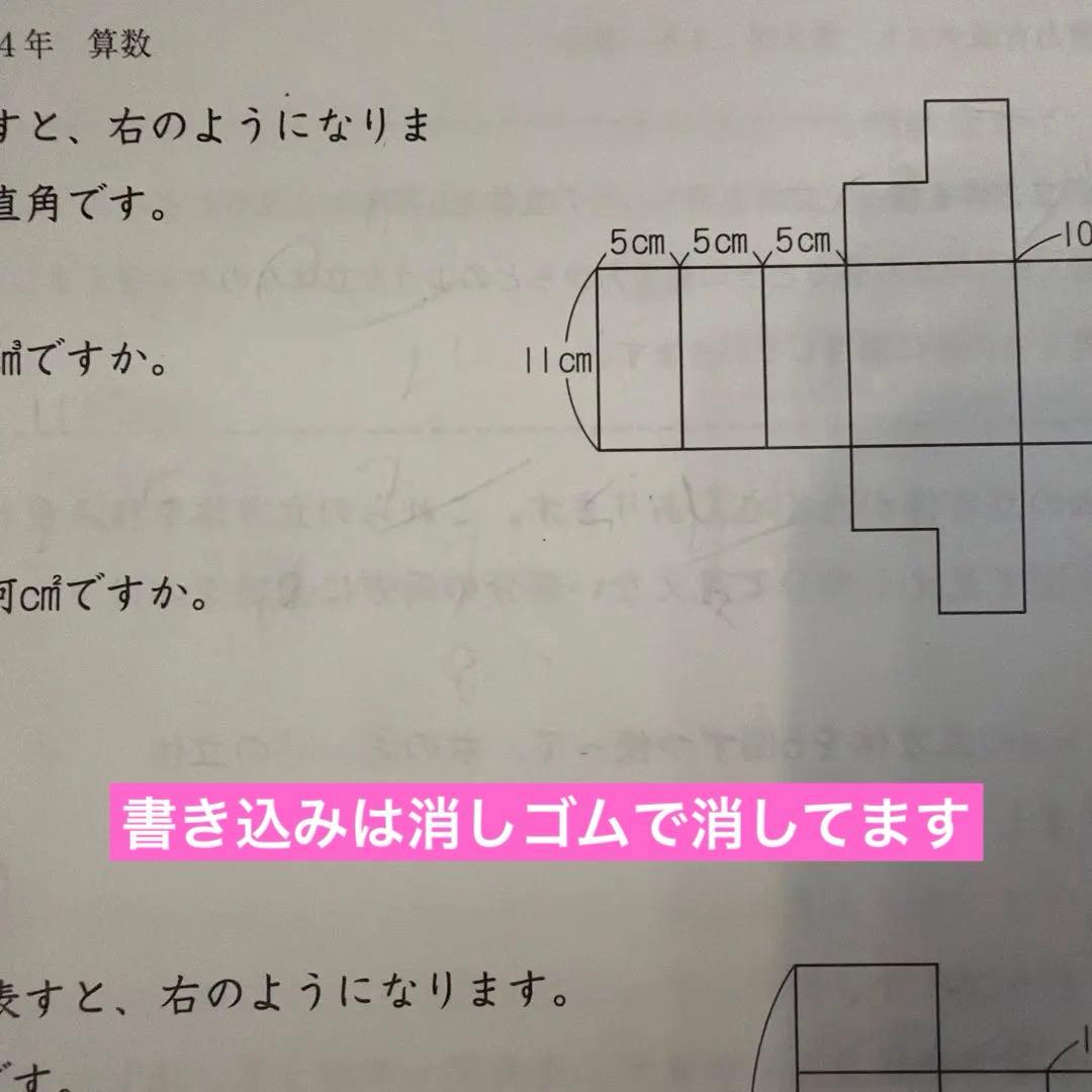 日能研　学習力育成テスト　４年　後期セット