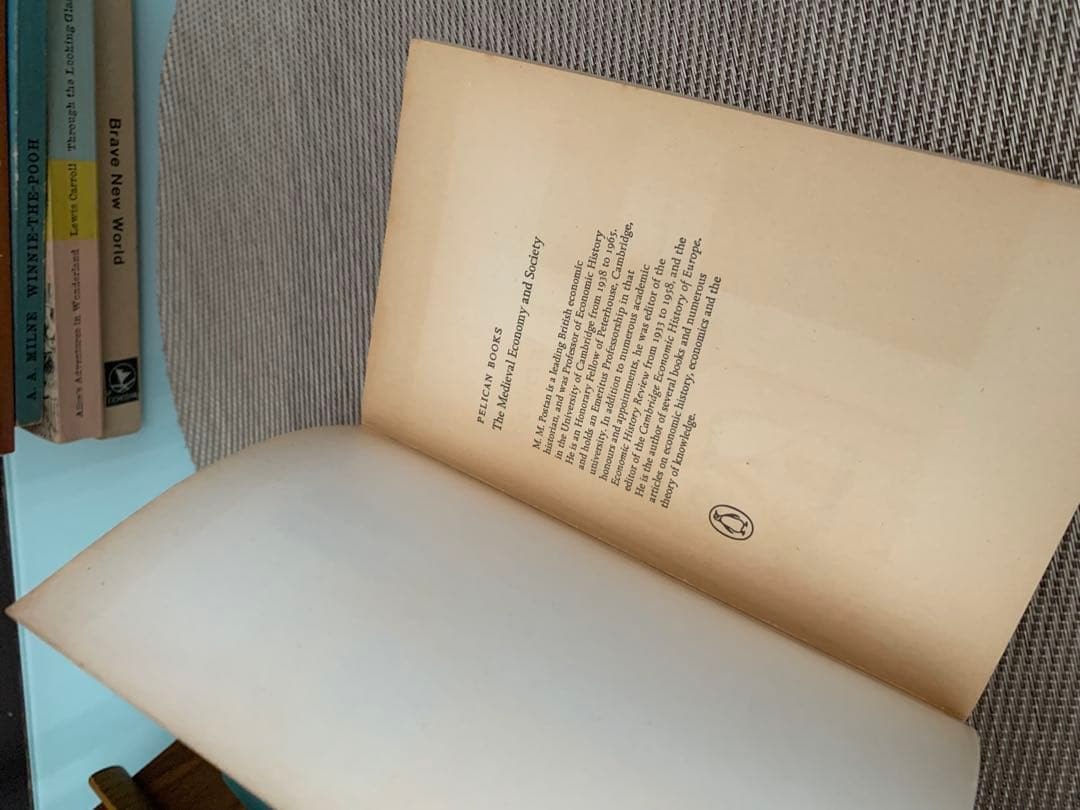 希少　The Medieval Economy & Society