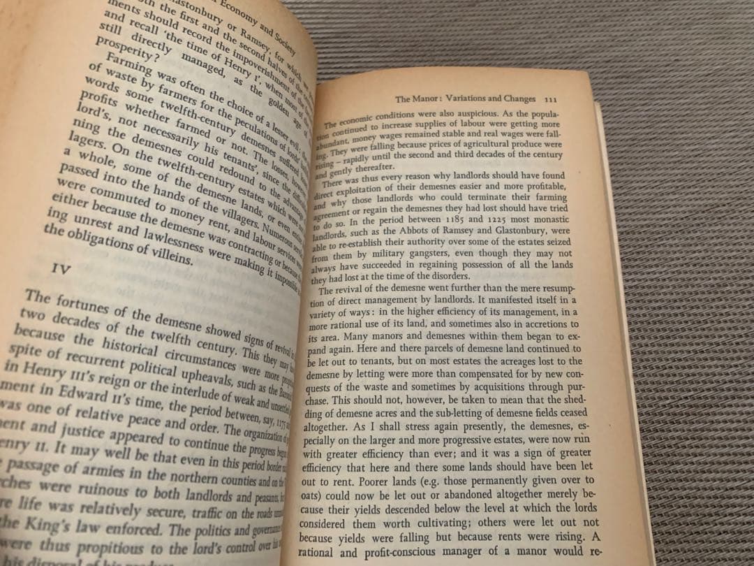 希少　The Medieval Economy & Society