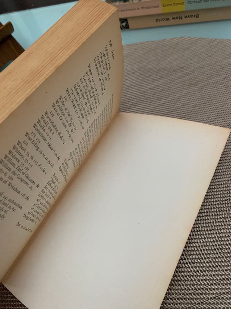 希少　The Medieval Economy & Society