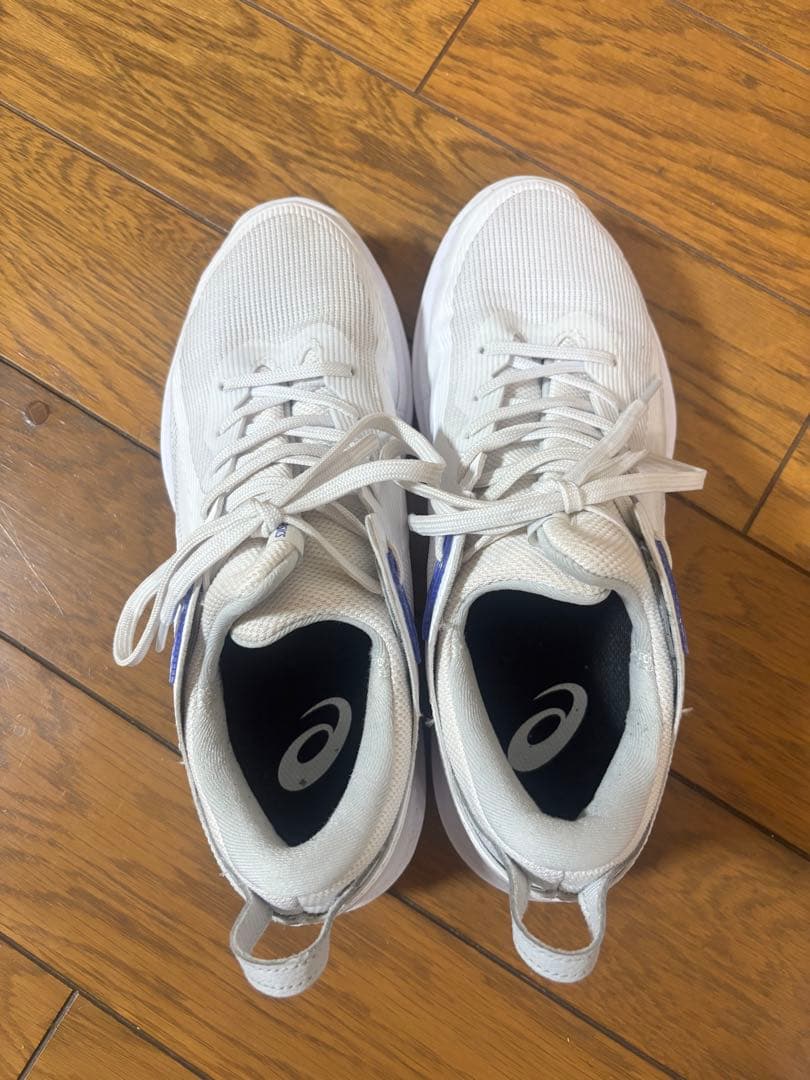 シューズ(女性用) asics GLIDE NOVA FF4