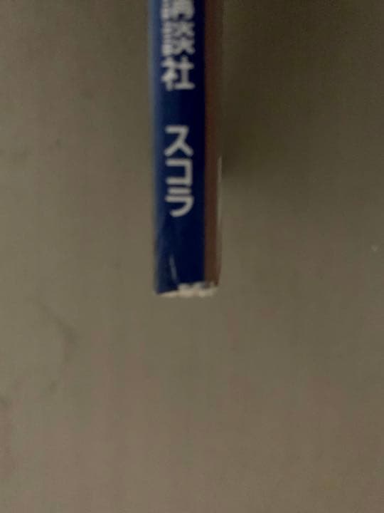 岡江久美子 写真集　【華やかな自転】　別冊スコラ　講談社　マイク岡田