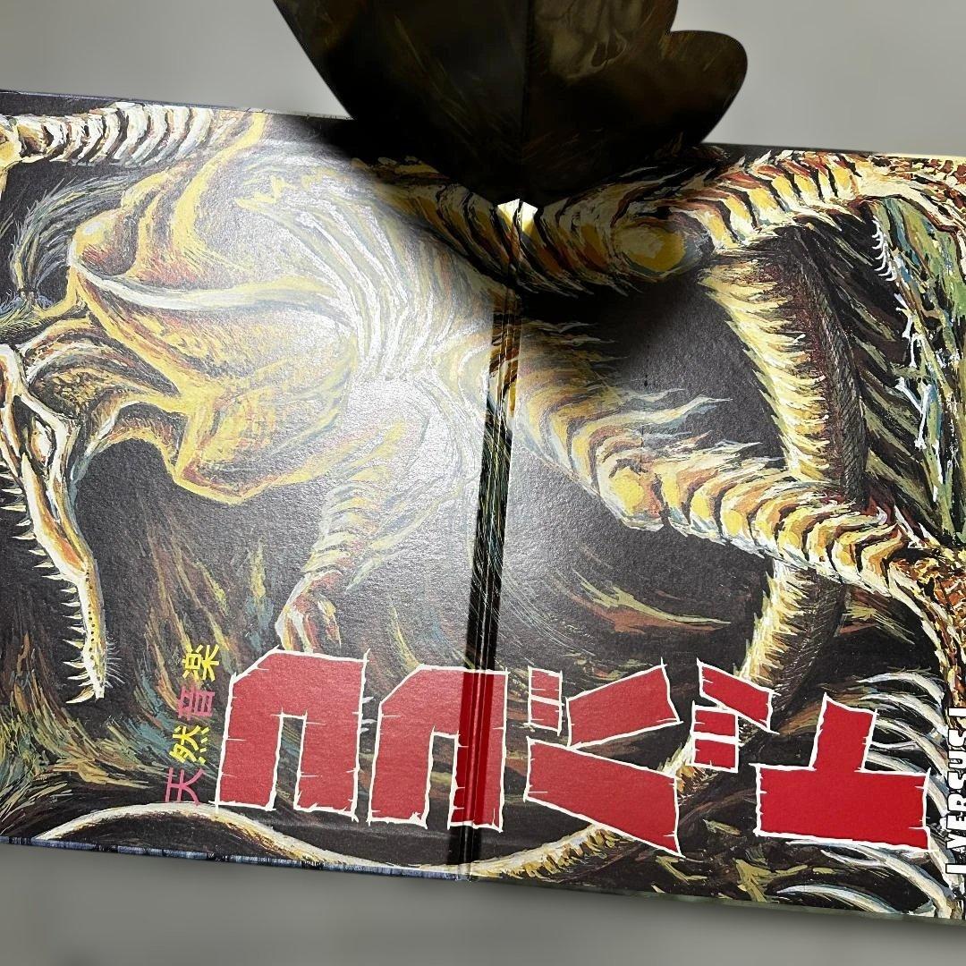 COCOBAT レコード2枚セット