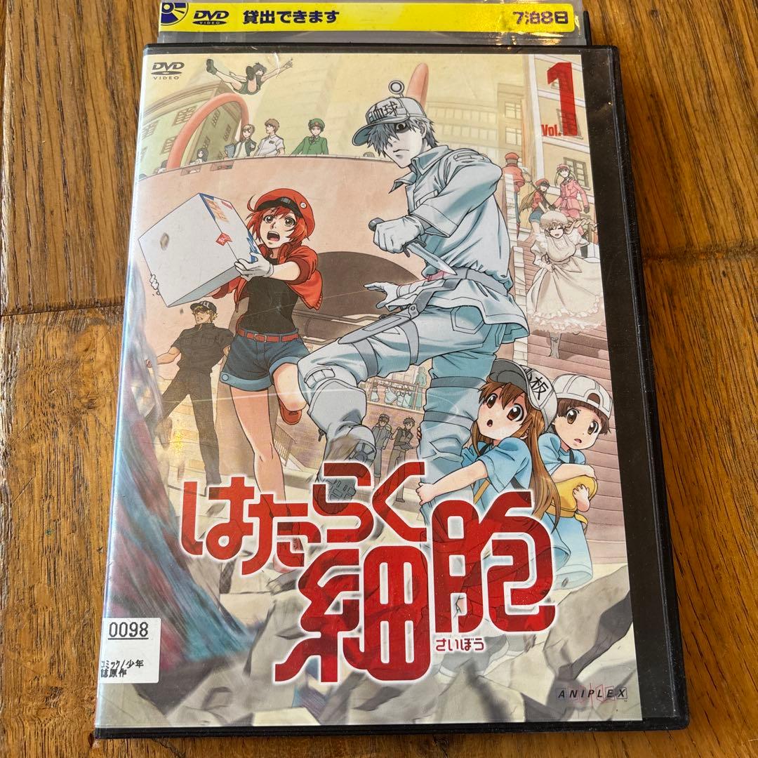 はたらく細胞　DVD 全7巻　特別編付