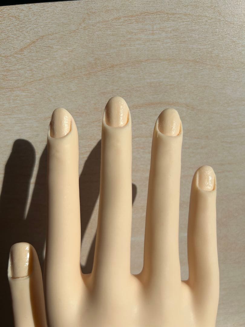 ネイルアート練習用ハンド・チップセット （JNEC認定モデルハンド）