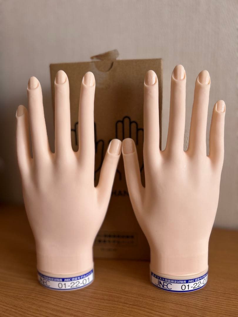 ネイルアート練習用ハンド・チップセット （JNEC認定モデルハンド）