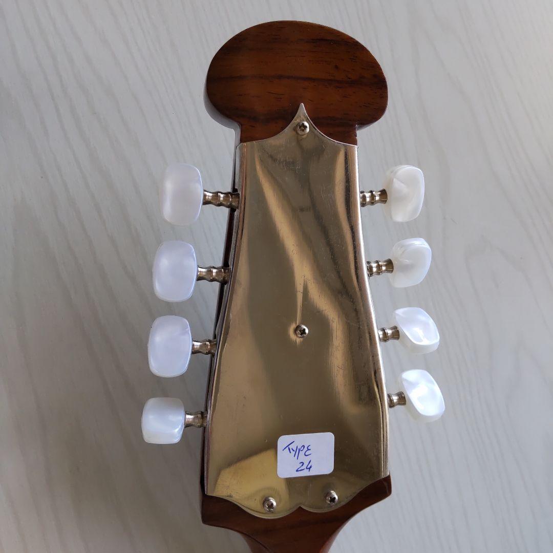 Calaceカラーチェ No24 マンドリン