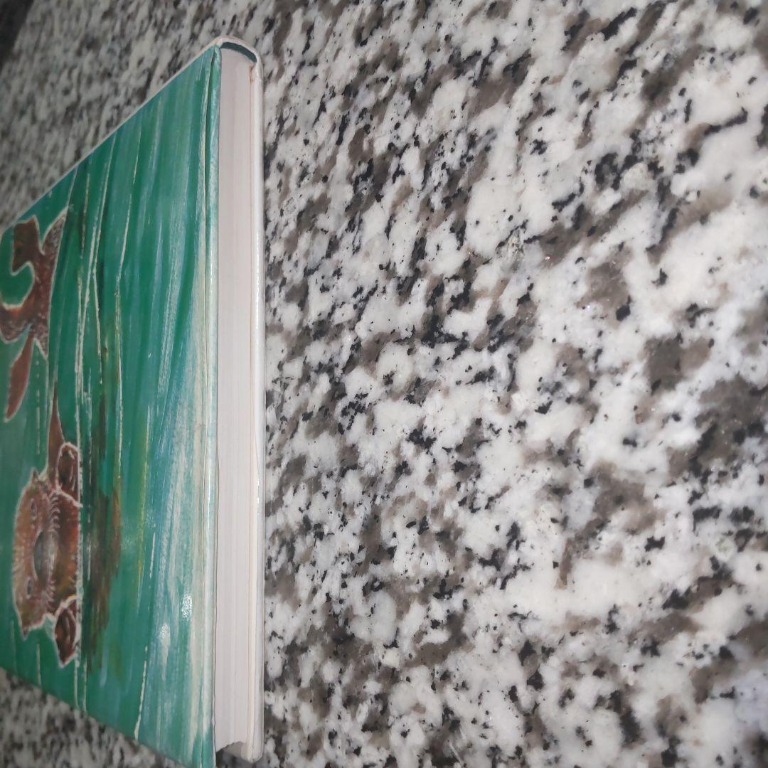 ラッコのコタロウ★岡野 薫子★理論社★カバー有り　単行本　ハードカバー　昭和レト