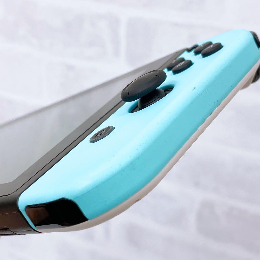 Nintendo Switch あつまれどうぶつの森 HAC-001 2020