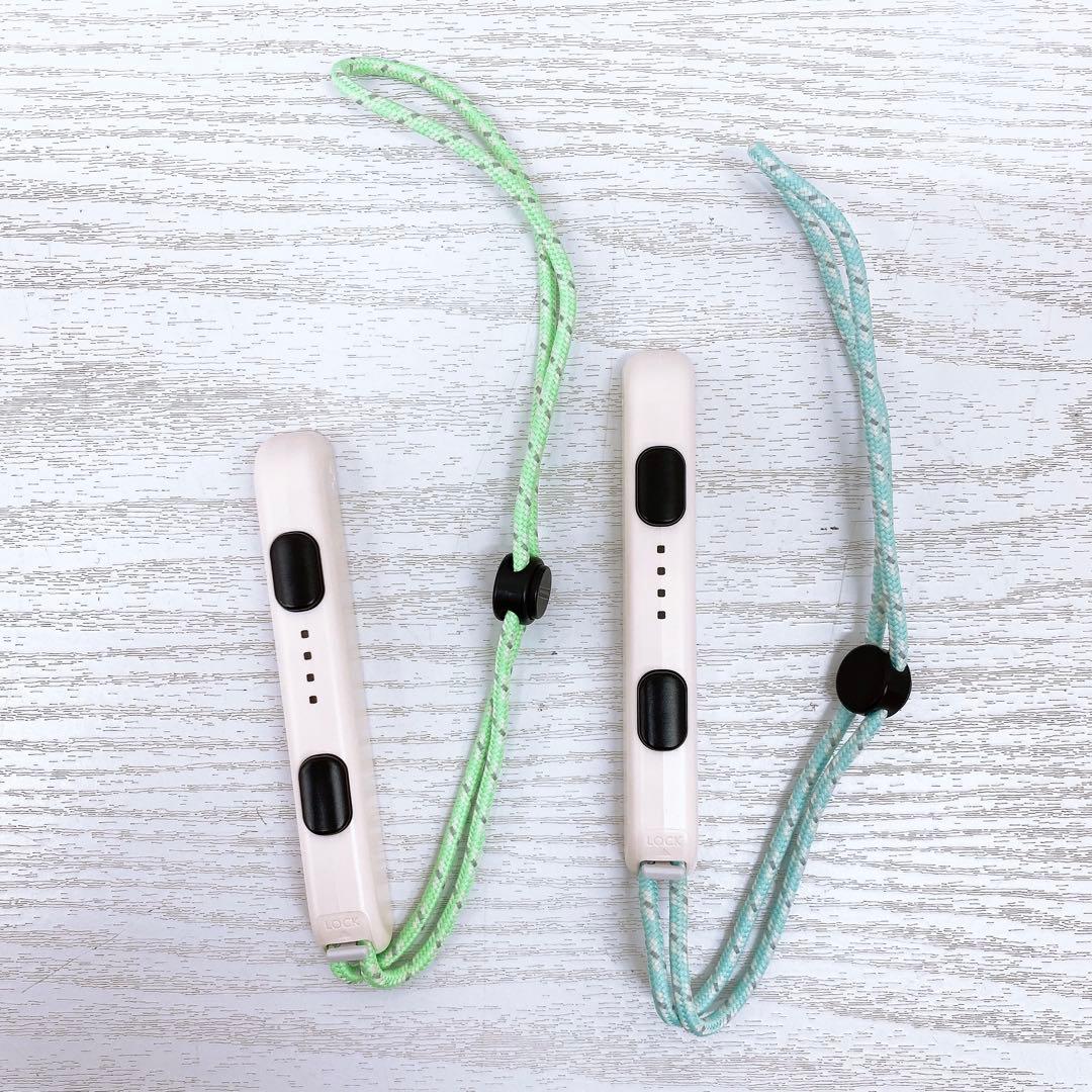 Nintendo Switch あつまれどうぶつの森 HAC-001 2020