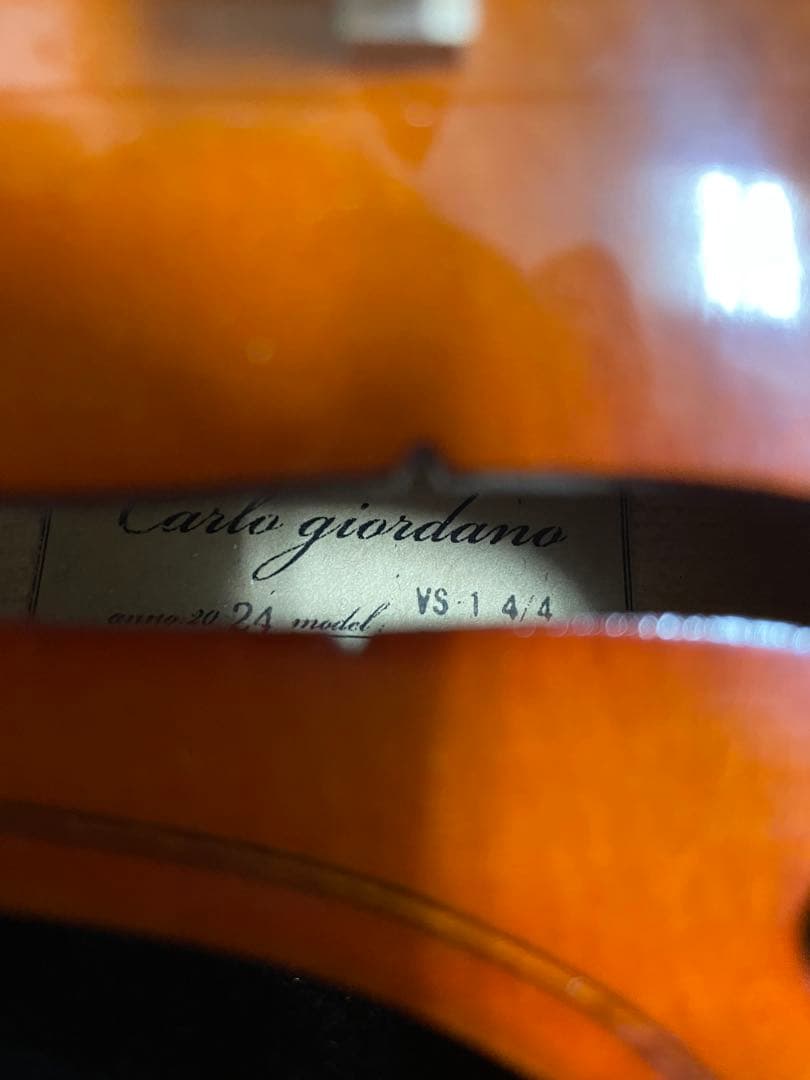 Carlo Giordano VS-1 4/4 バイオリン