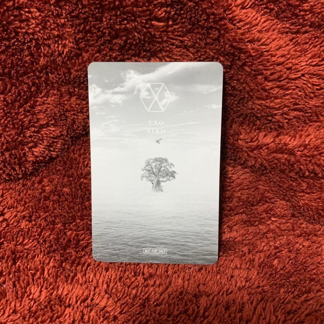 [EXO] SEHUN - BIRD トレカ