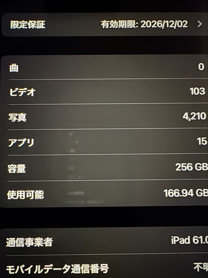 iPad mini 第7世代 セルラー256GB バッテリ100%純正カバー付き