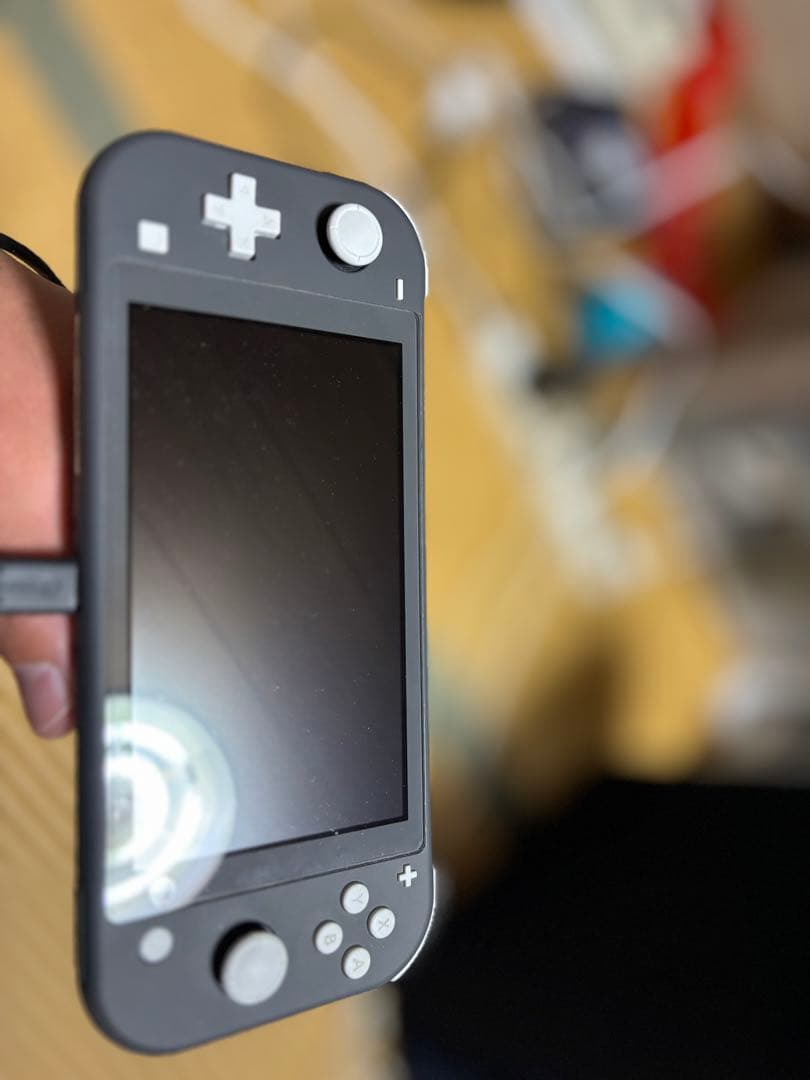 ニンテンドースイッチライト グレー ゼルダの伝説 ソフトセット