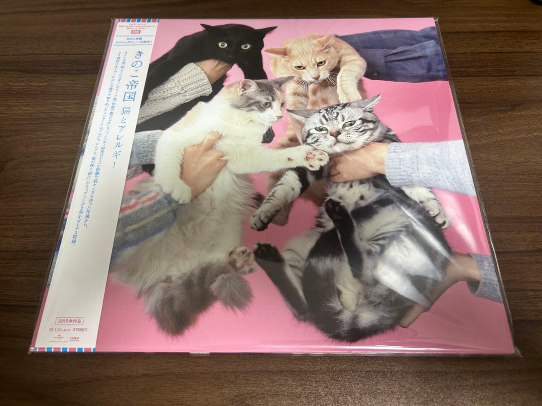 きのこ帝国 猫とアレルギー アナログ レコード