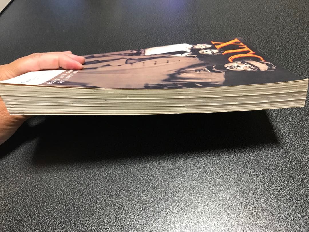 レア洋書　XTC Chalkhills and Children the