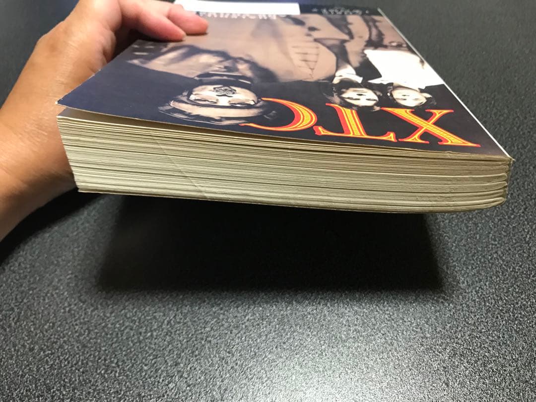 レア洋書　XTC Chalkhills and Children the