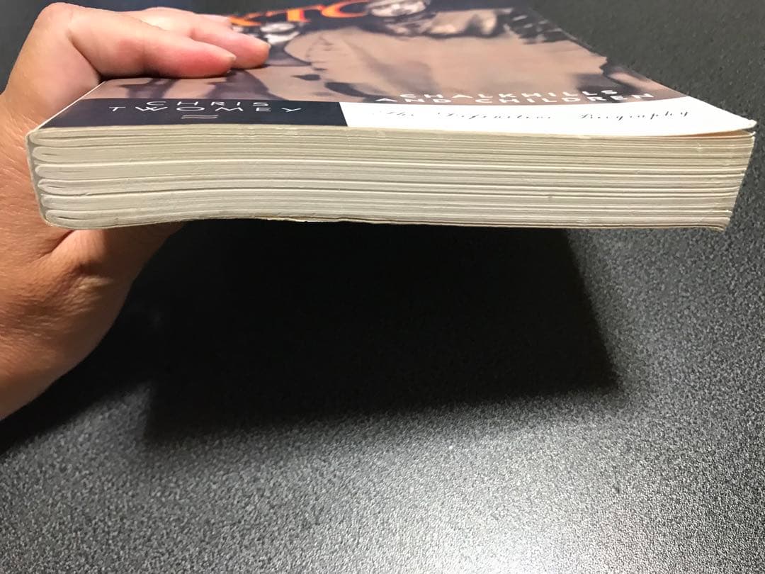 レア洋書　XTC Chalkhills and Children the