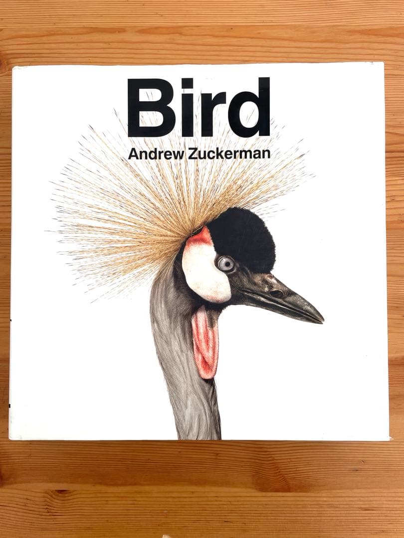 Bird / Andrew Zuckerman 大型本