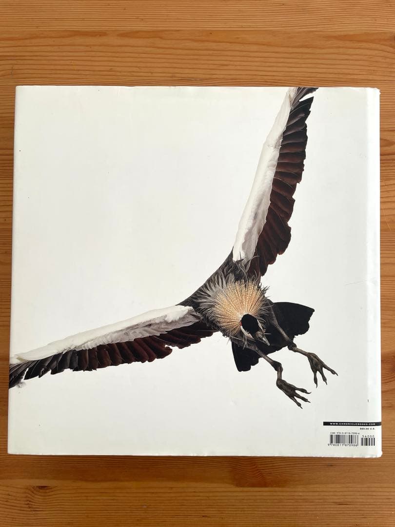 Bird / Andrew Zuckerman 大型本