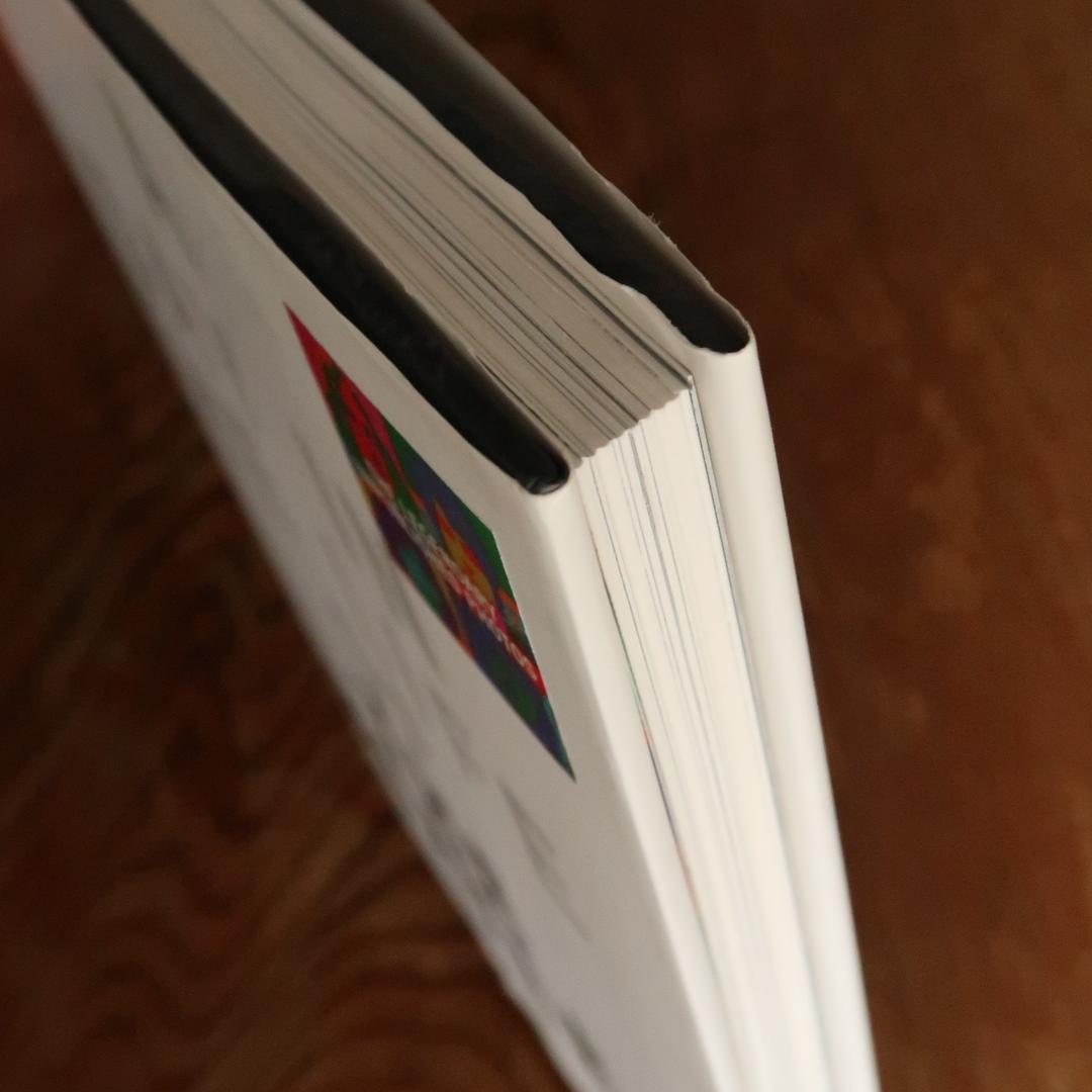 セール！ 希少洋書『ビートルズのある一日』ドン・マッカリン　ビートルズ写真集