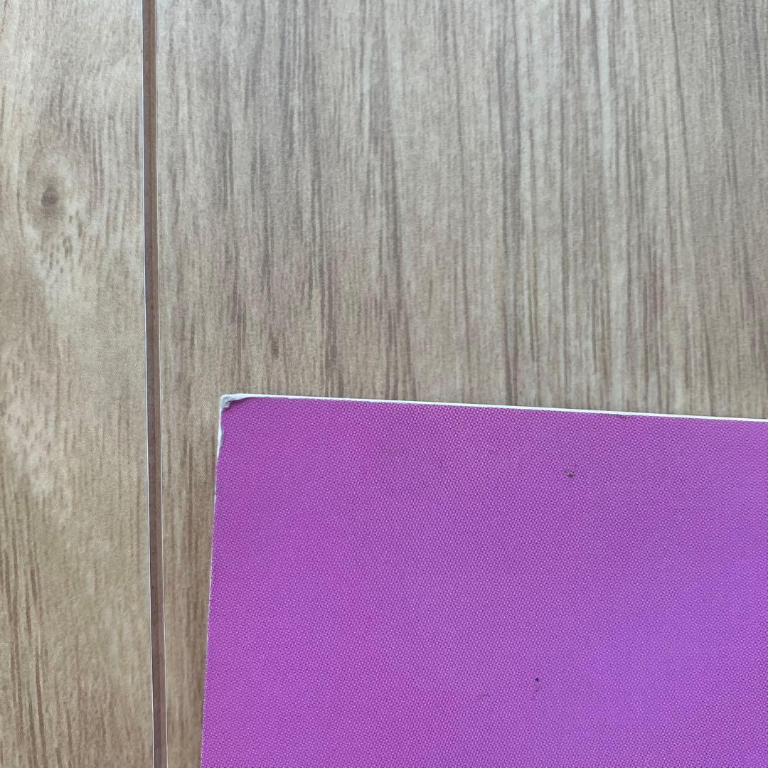 うさぎの診療 インフォメーションシート