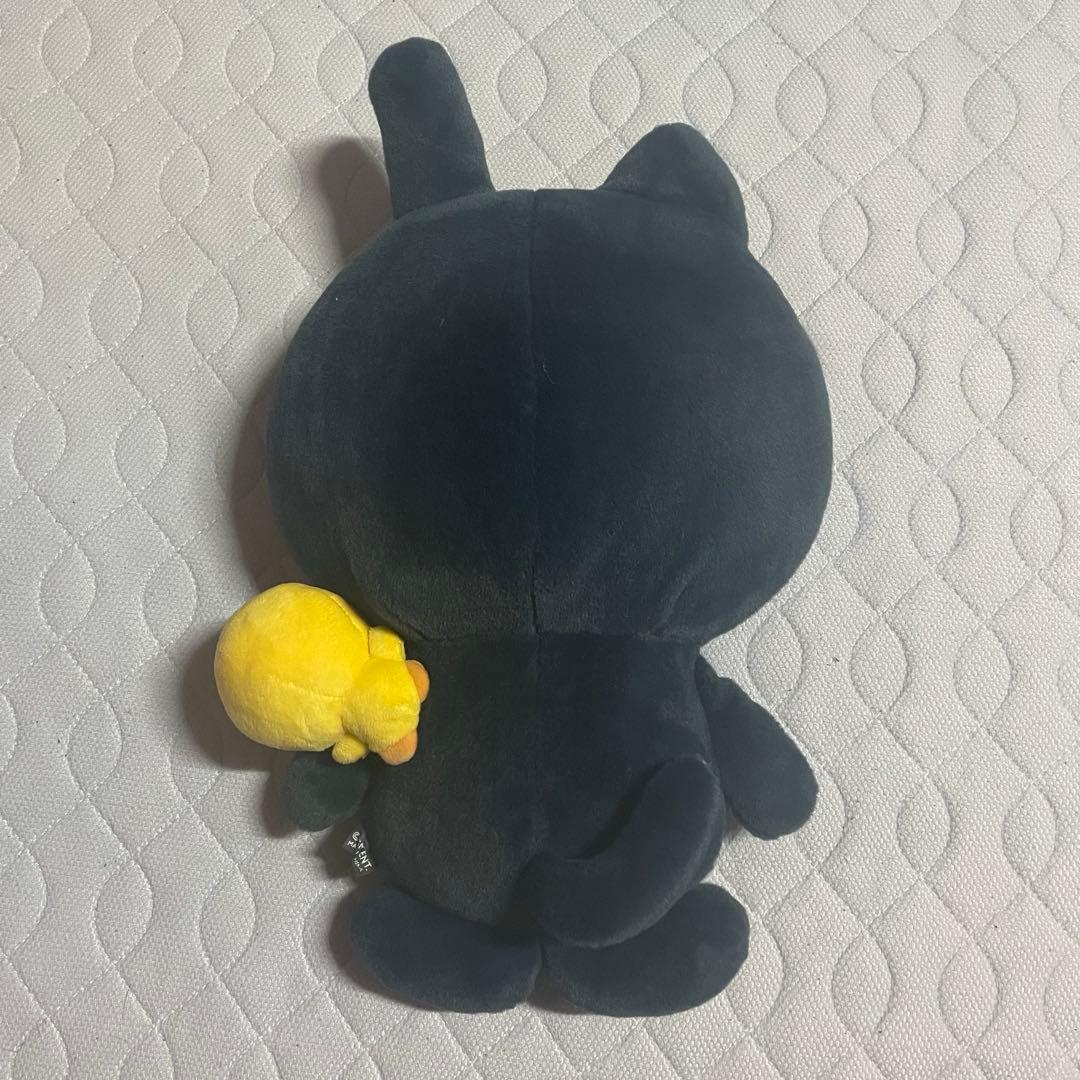 RIIZE ウォンビン ぬいぐるみ 40cm