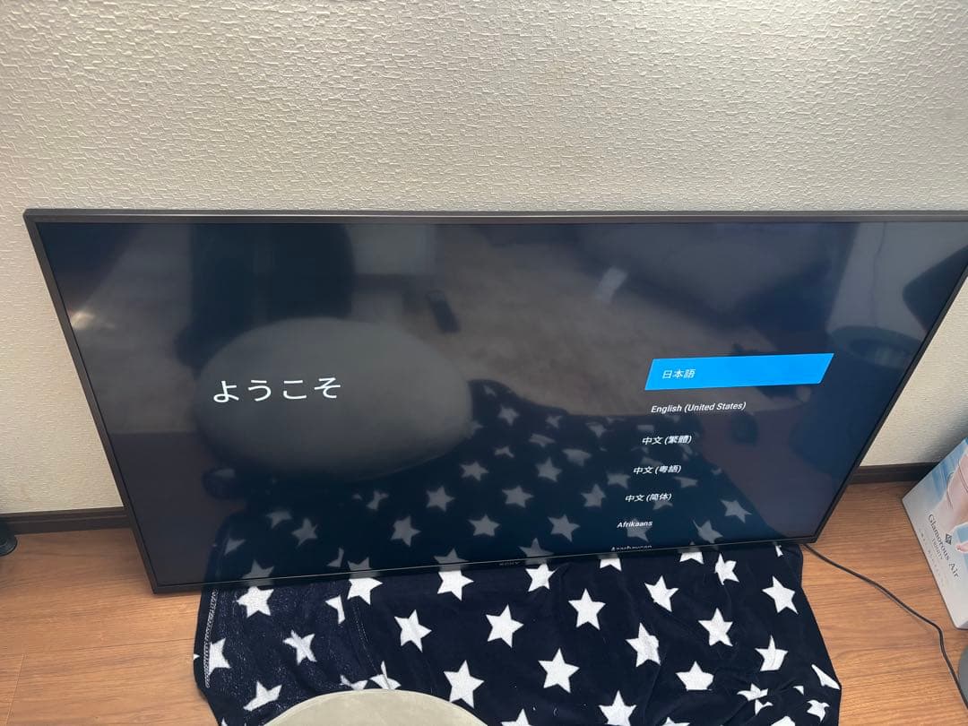 goriryo33 SONY テレビ本体